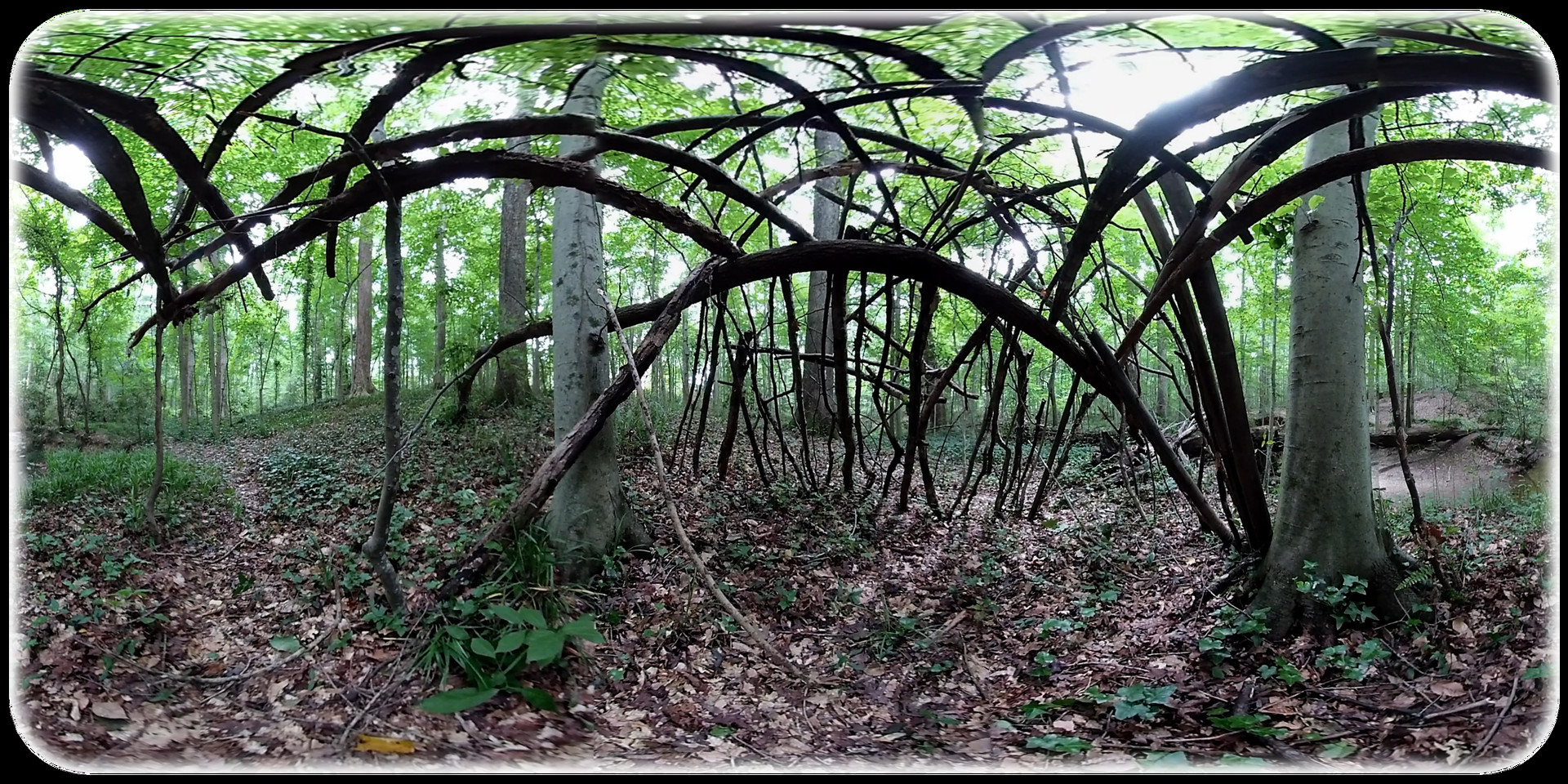 Exhale XR - Sanctuary - Spoken Word #0