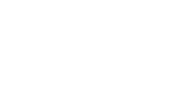 RaceRoom Racing Experience