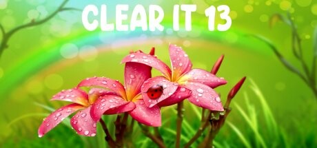 ClearIt 13 Cover Image