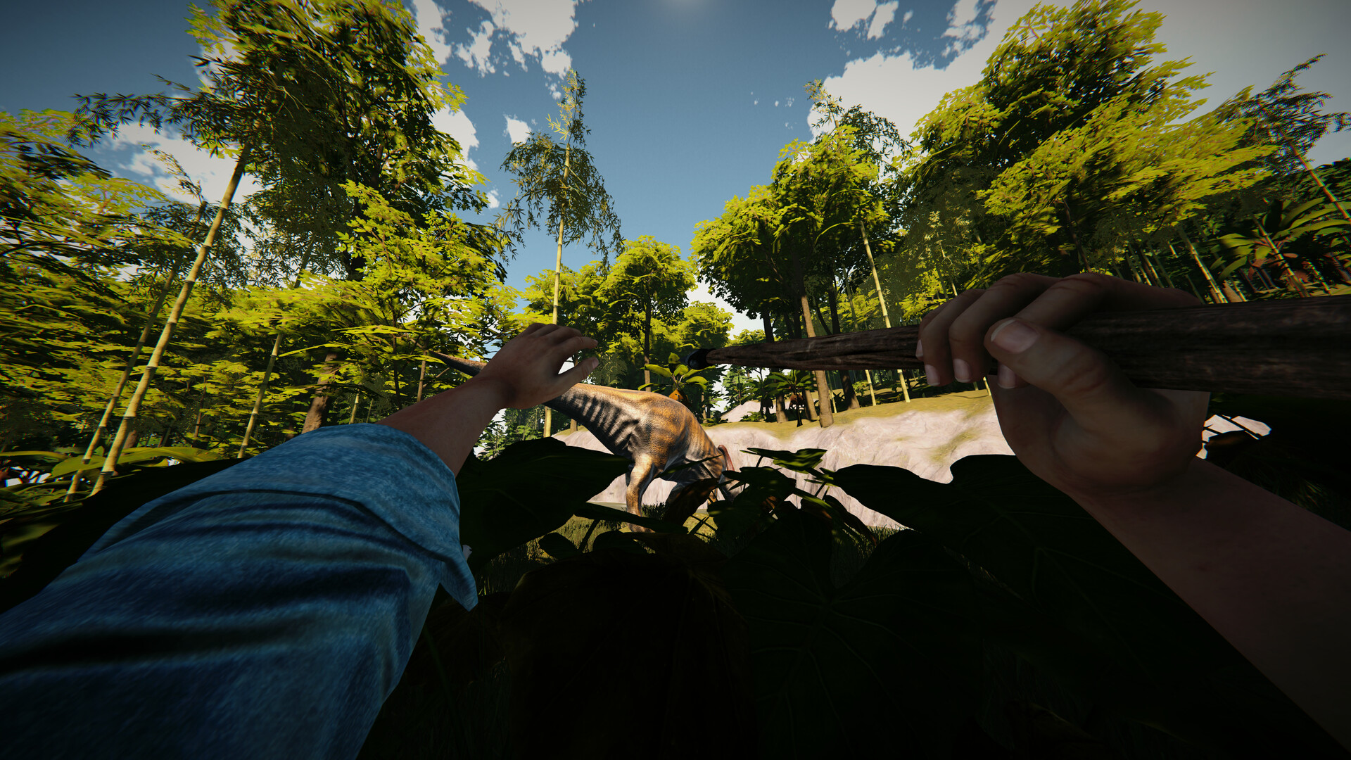 Reptile Park VR #8