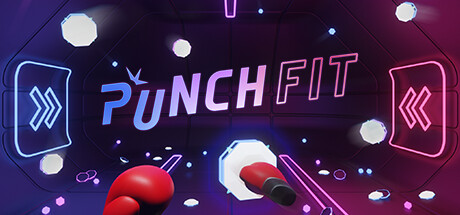 PUNCH FIT Cover Image