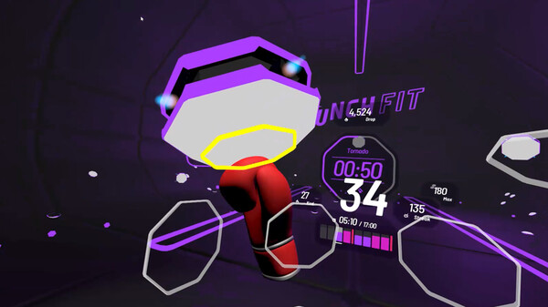 Скриншот из PUNCH FIT
