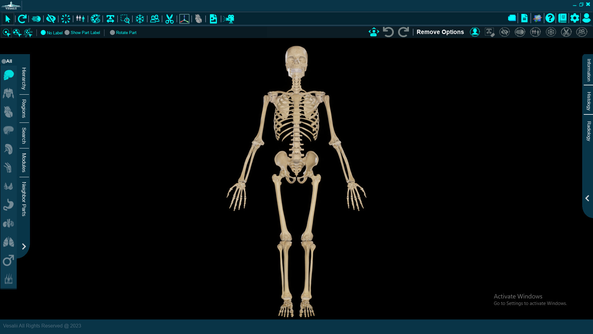 Vesalii Anatomy 3D Student #2
