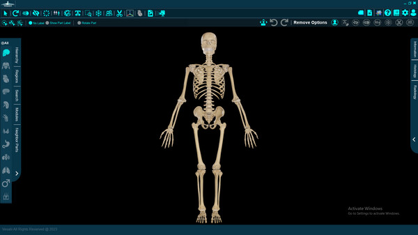 Vesalii Anatomy 3D institution Student game for Linux 1