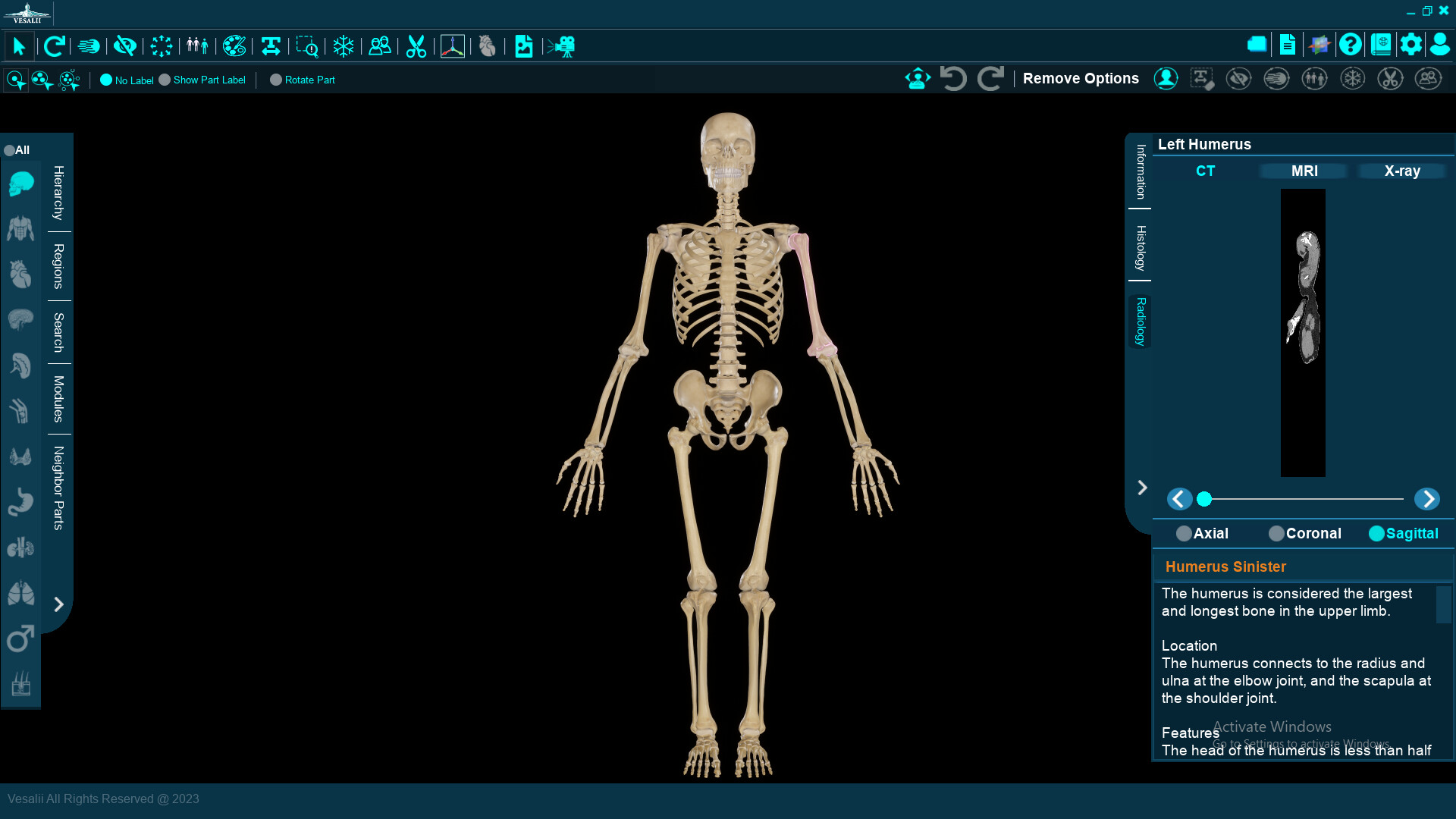 Vesalii Anatomy 3D Student #5