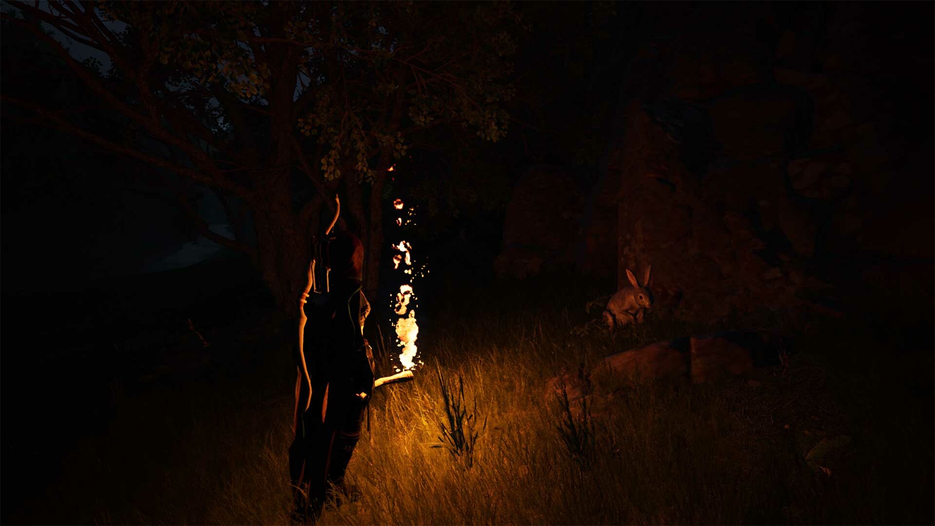 FIRE The First Dreamer #6