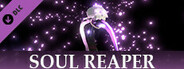 No King No Kingdom - Soul Reaper