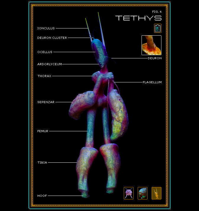 Integument - Database: Gates #8