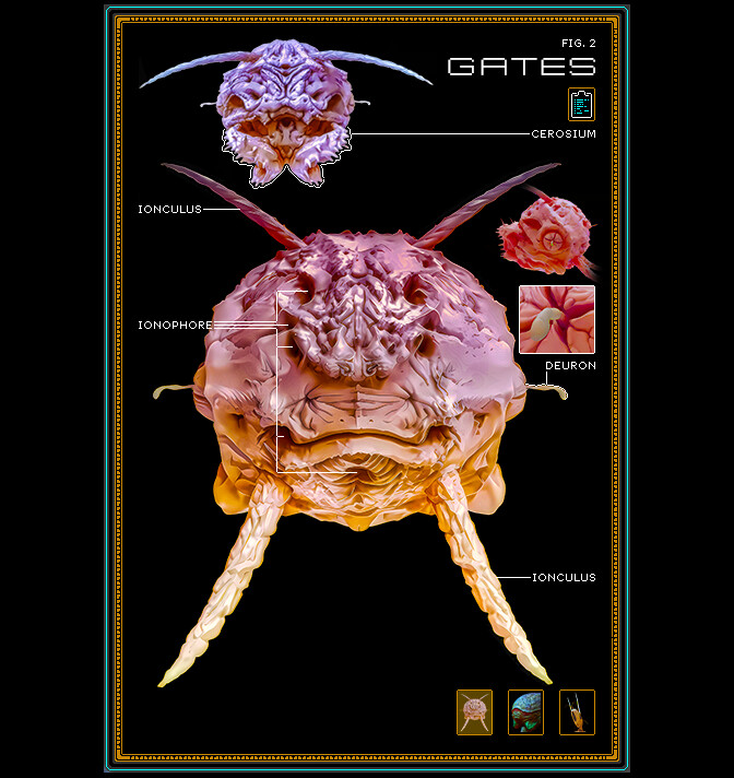 Integument - Database: Gates #5