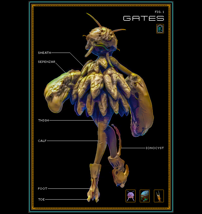 Integument - Database: Gates #4