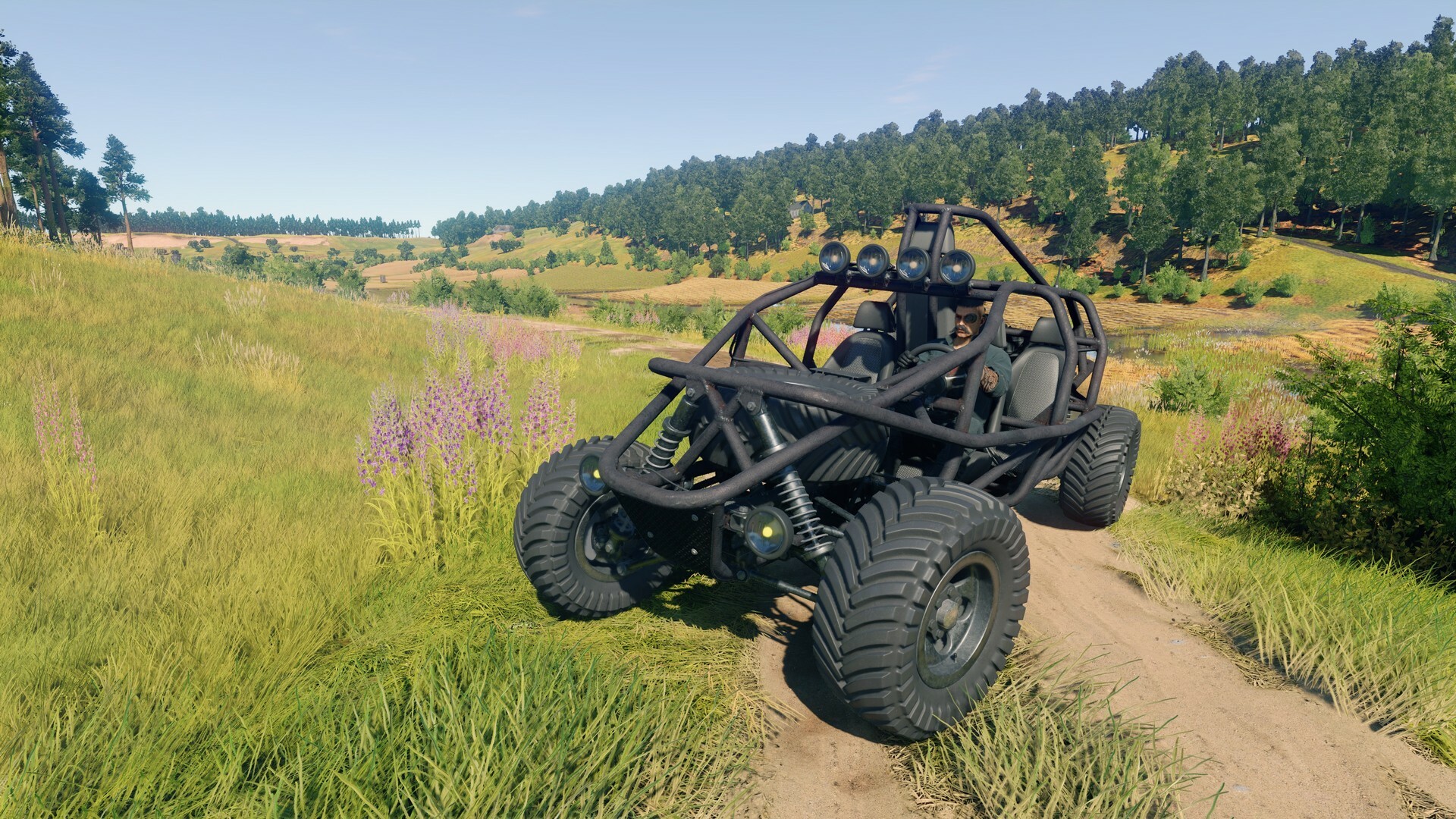 CRSED: Cuisine Royale - Nuts Splitter Pack screenshot screenshot 0