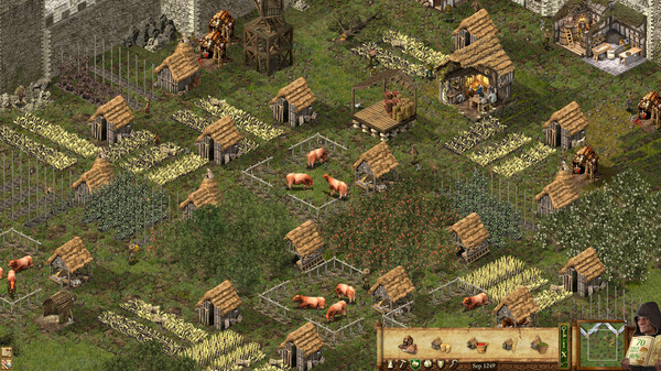 Скриншот из Stronghold: Definitive Edition