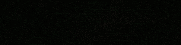 Combat_GIF.gif