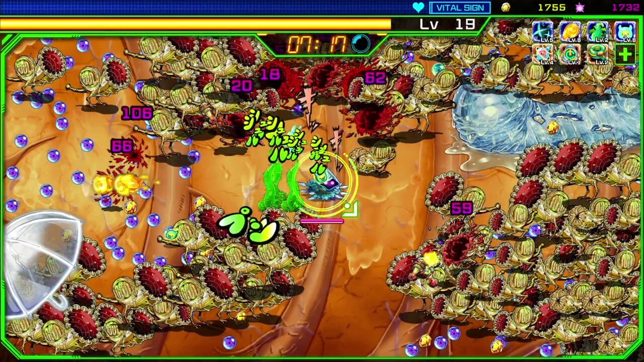 Petit Petit Petit #3