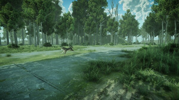Скриншот из Forest Spring