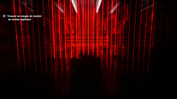 Saga Cubefor windows and Linux 1