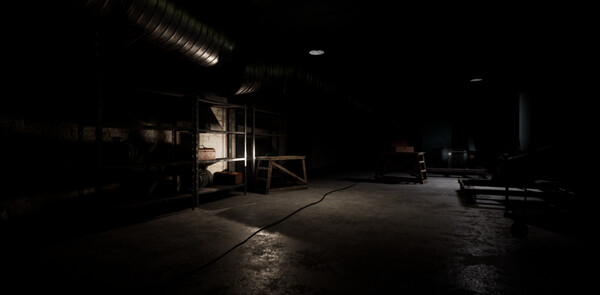 Скриншот из Insomnia