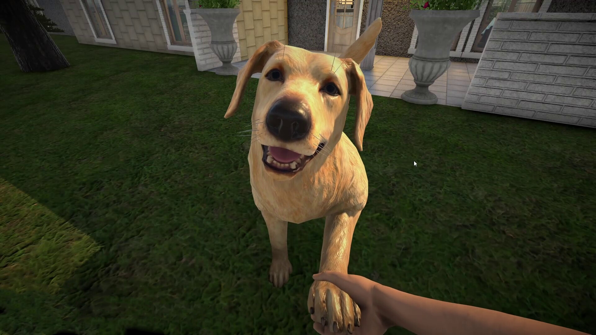 Pets Hotel: Prologue screenshot 1