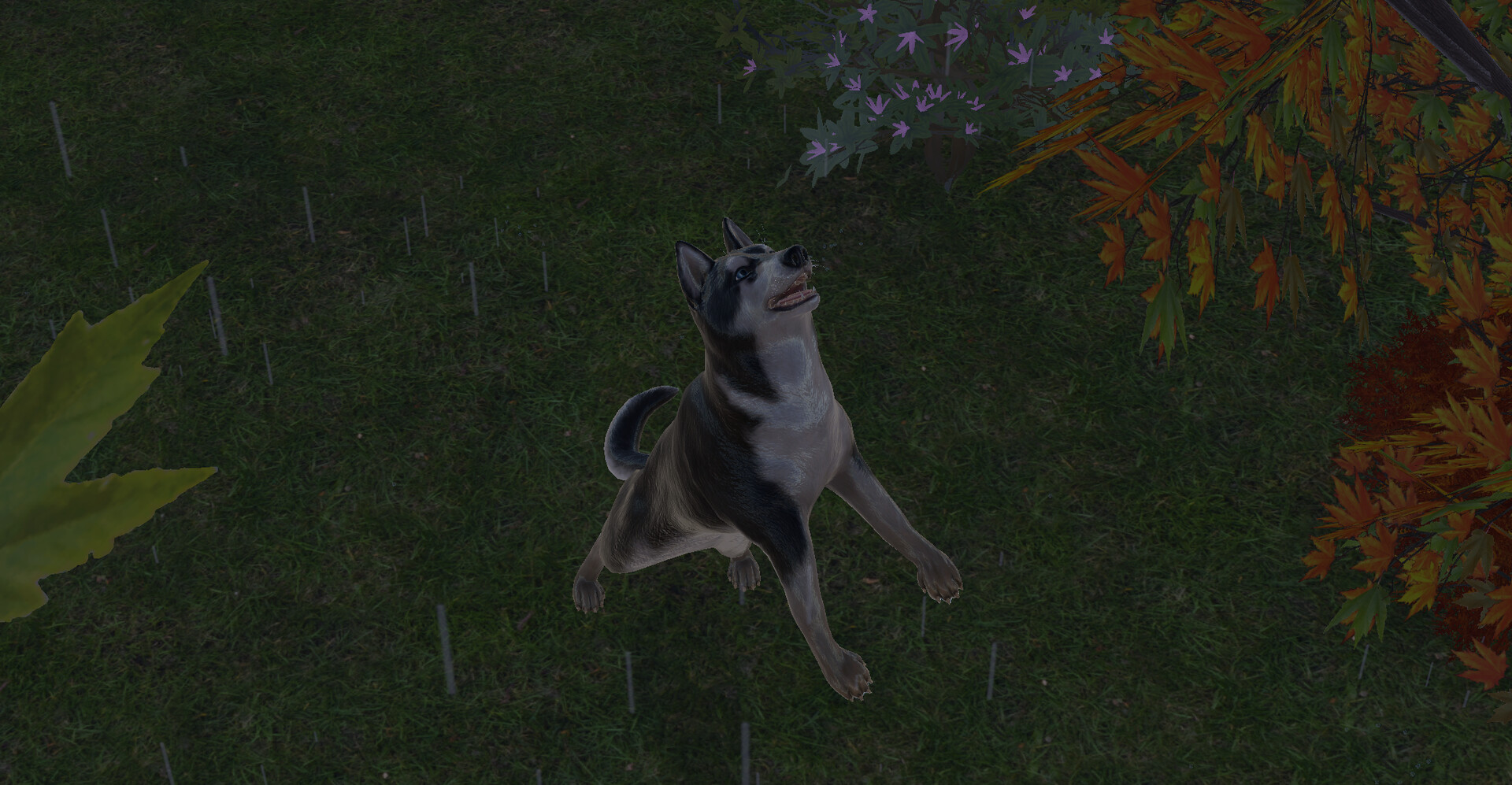 Pets Hotel: Prologue #20