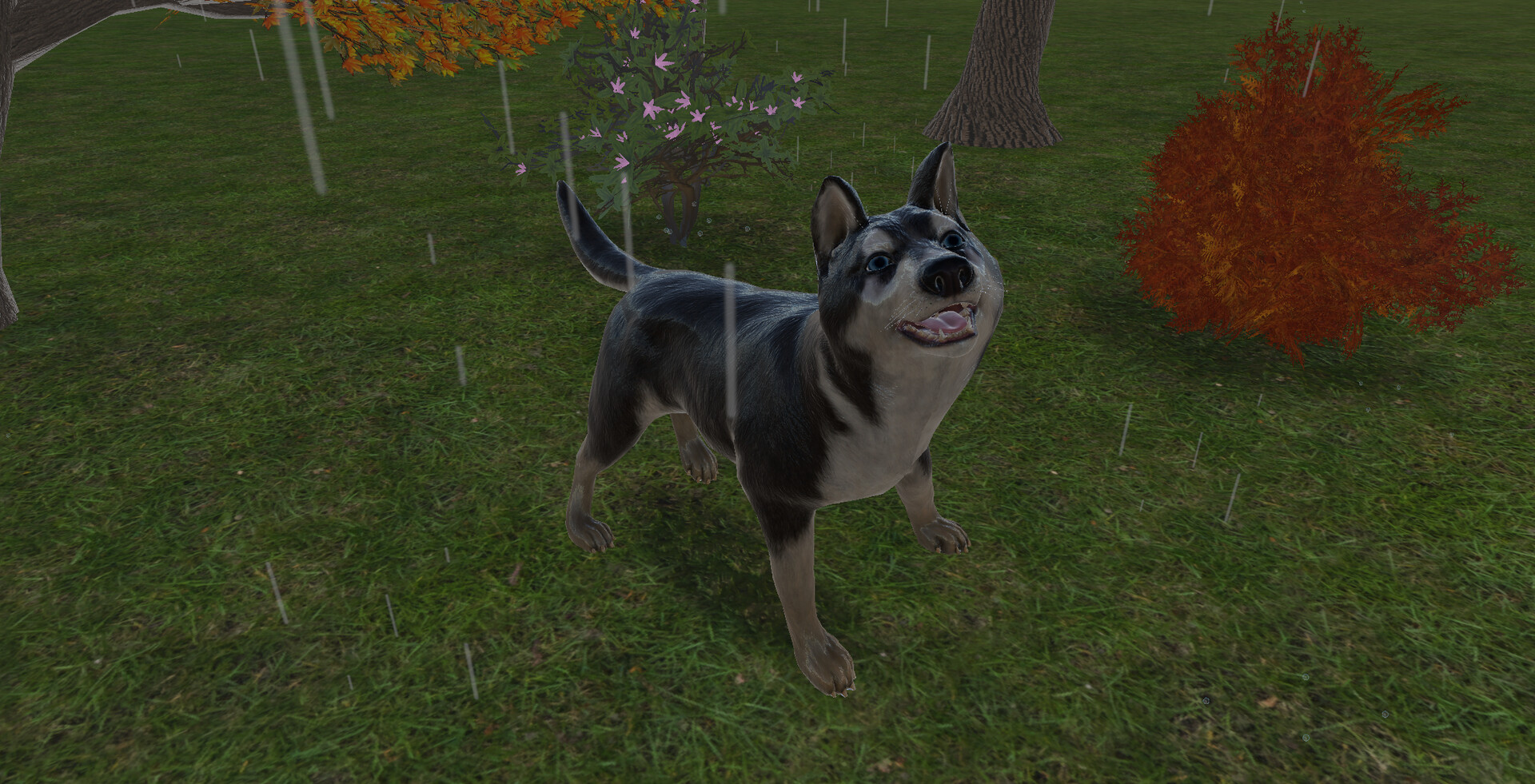 Pets Hotel: Prologue #14