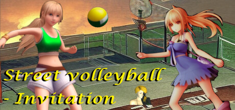 Street volleyball - Invitation banner