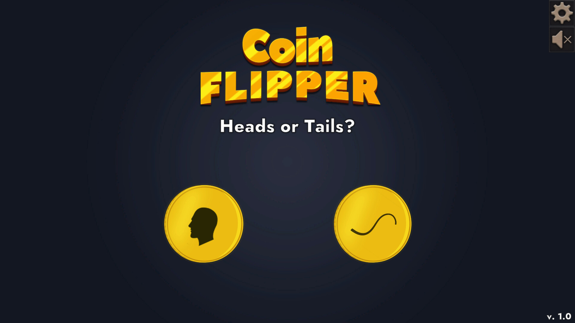 Coin Flipper #4
