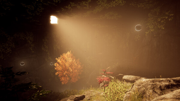 Number 217721 game for windows Pc 1