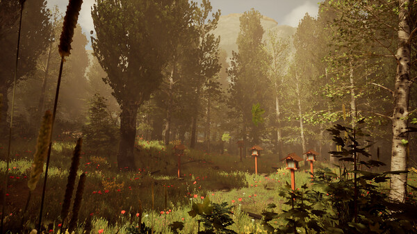 Number 217721for windows and Linux 1