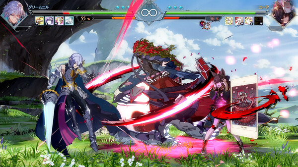 Granblue Fantasy Versus: Rising Steam Key 2