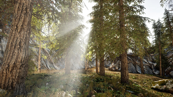 Скриншот из Realm of Dread