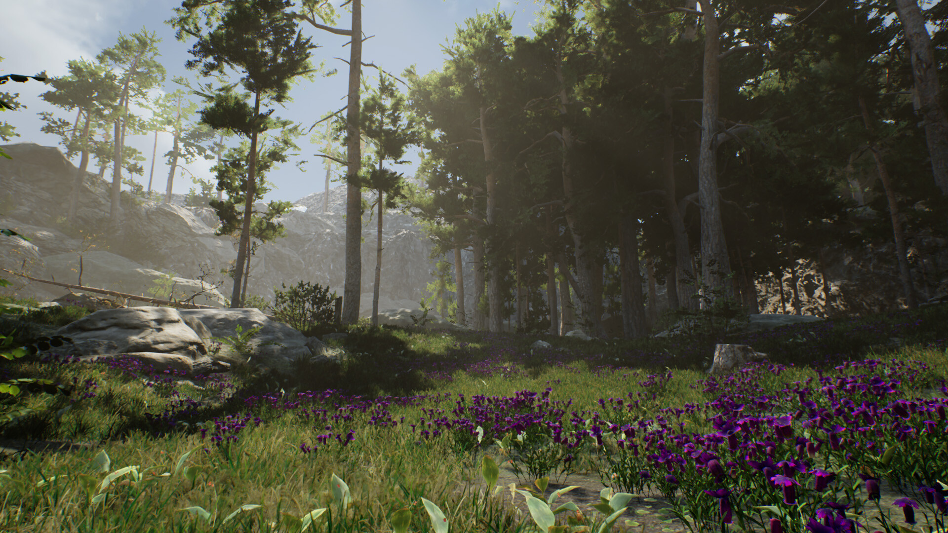 The Archipelago Promise screenshot 1