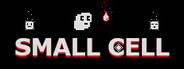 Small Cell