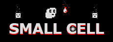 Small Cell