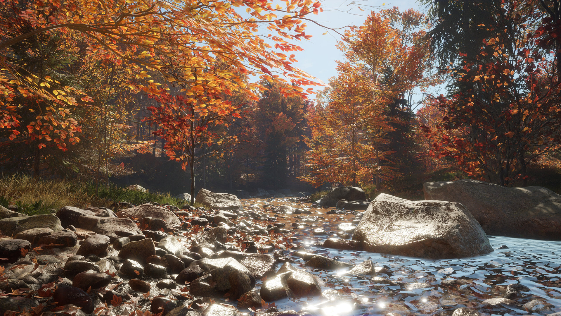 New England Mountains Reserve Out Now for theHunter: Call of the Wild -  Xbox Wire