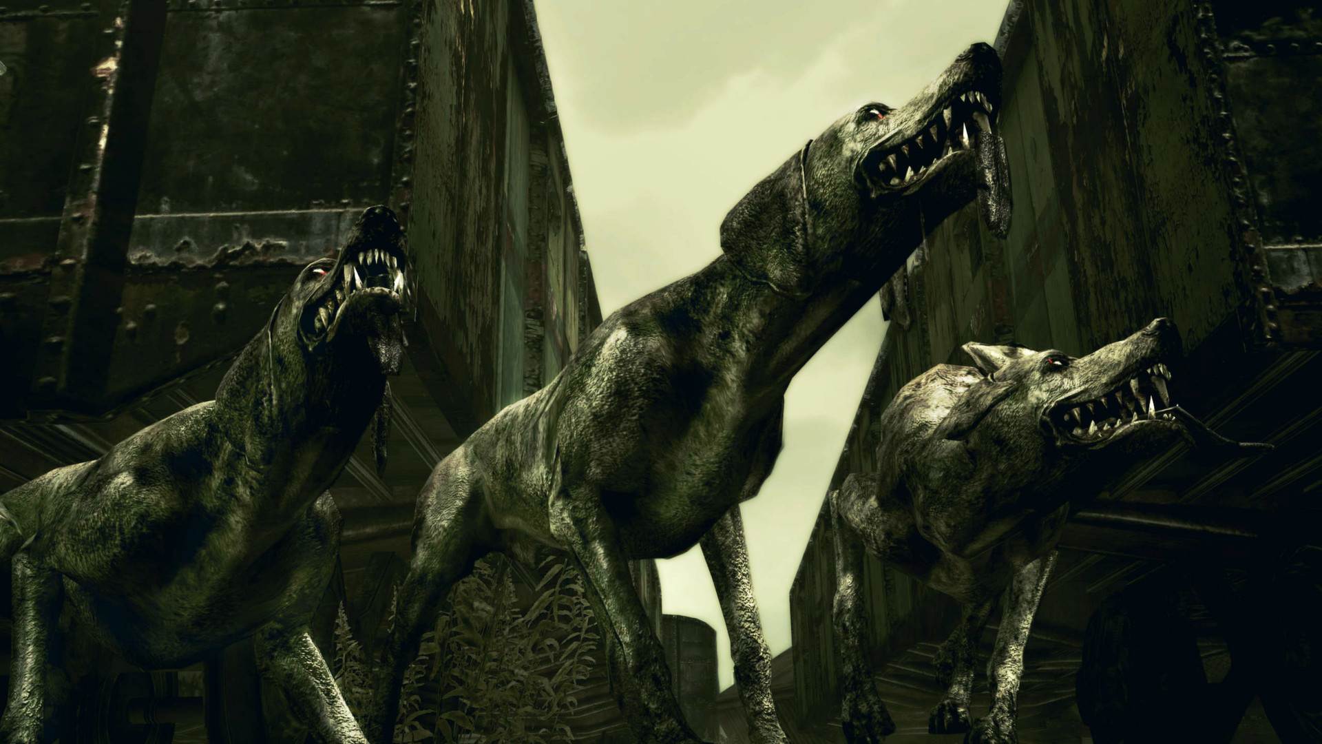 Resident Evil 5 screenshot 45