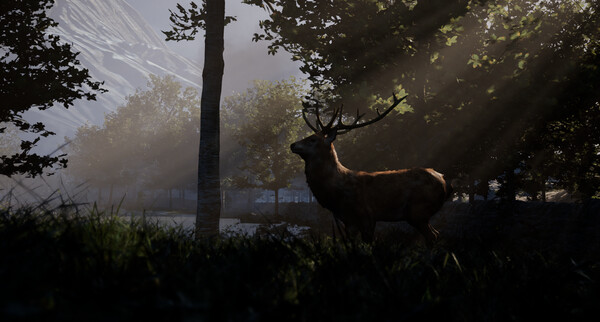 Never Rain game for windows Pc 1