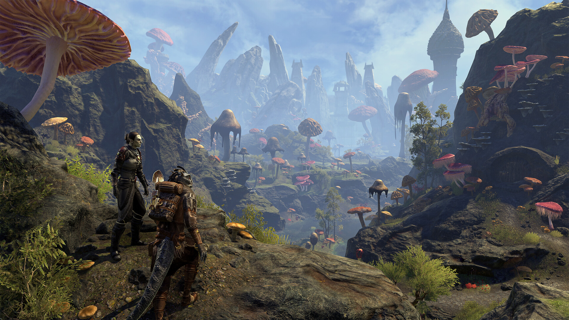 Elder Scrolls Online offers first person