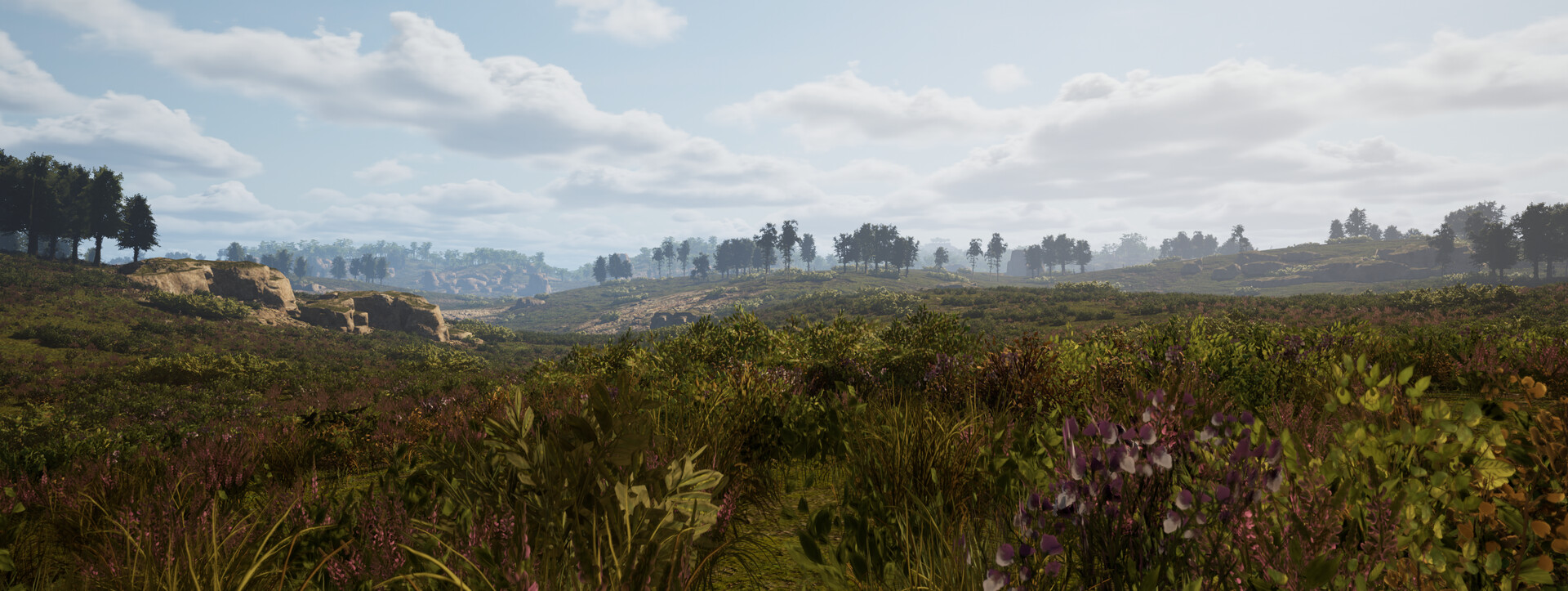 The Wings of Dawn #5