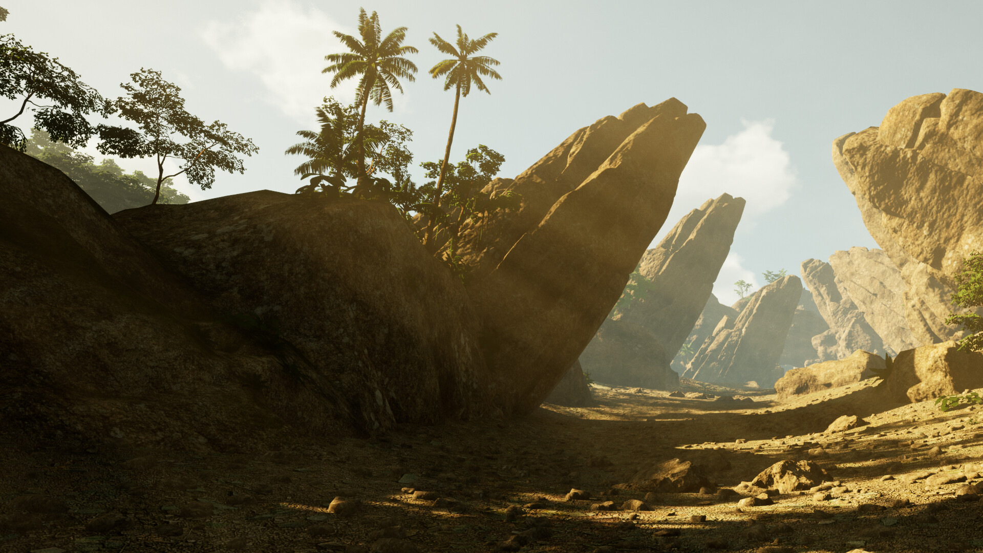 The Wings of Dawn #3