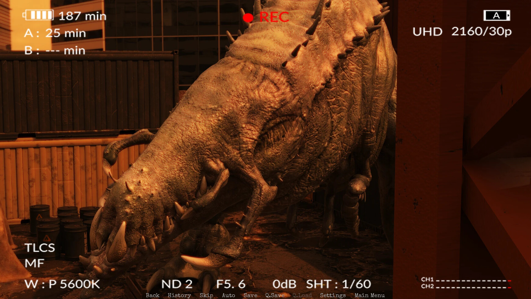 Fire of Life: New Day #19