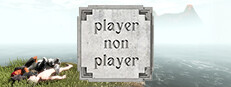 Player Non Player