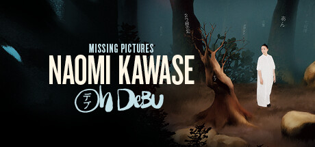 Image for Missing Pictures : Naomi Kawase