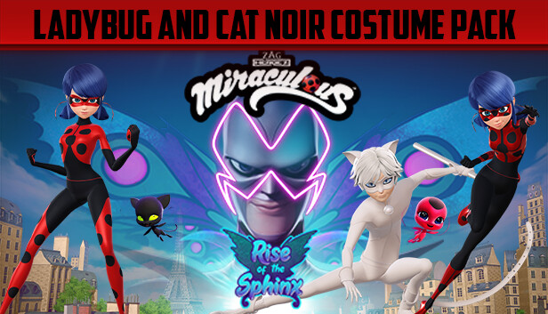 Ladybug and chat outlet noir costumes