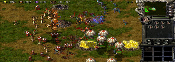 Kingdom Under Fire: A War of Heroes (GOLD Edition) Screenshot