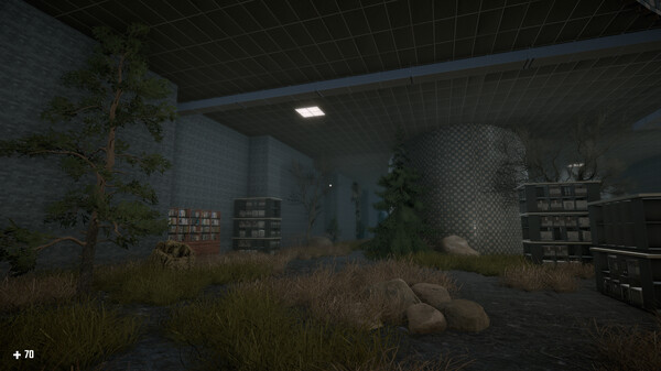 Скриншот из SURVIVAL IN THE BACKROOMS