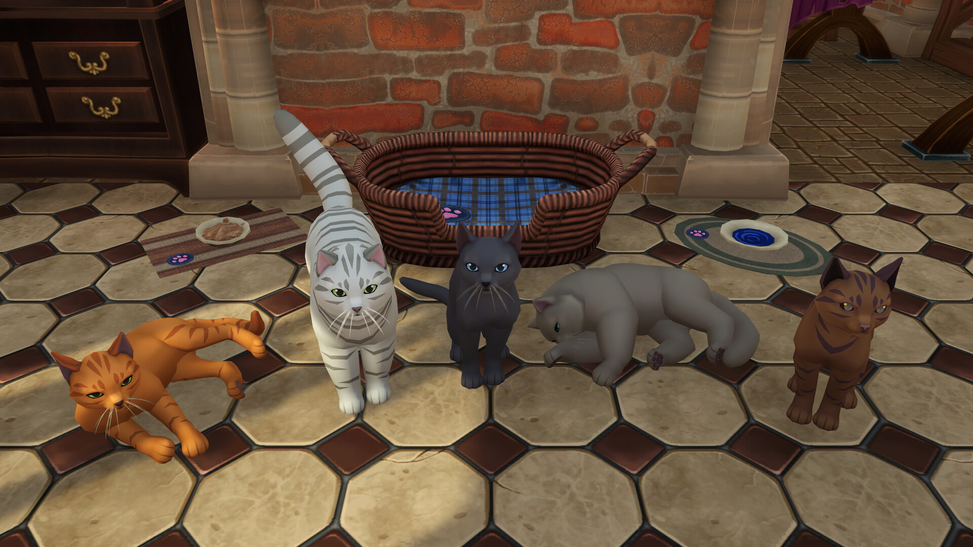 Winkeltje - Cat Companion screenshot screenshot 10