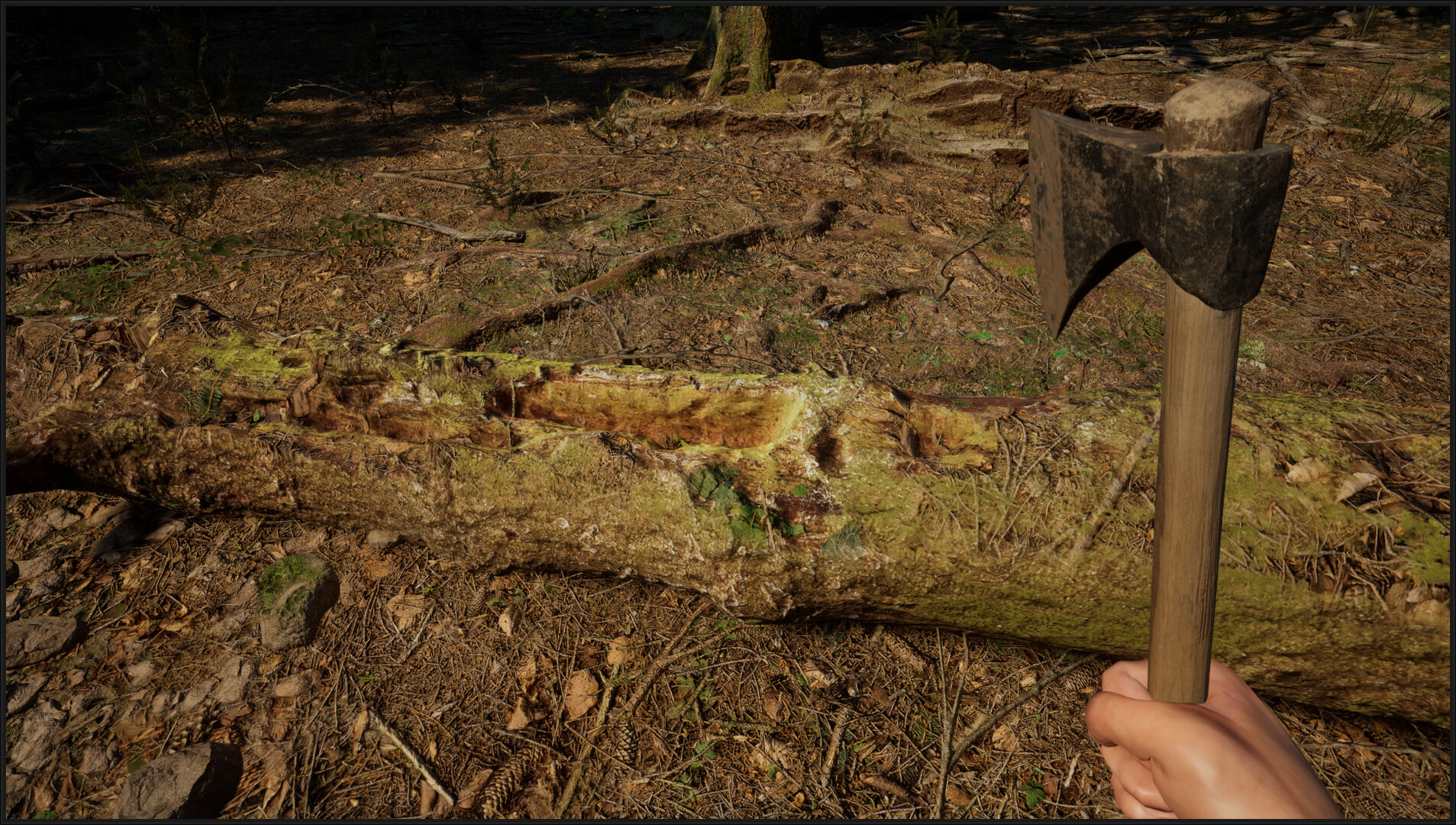 evergreen-mountain-life-simulator-prologue-keymailer