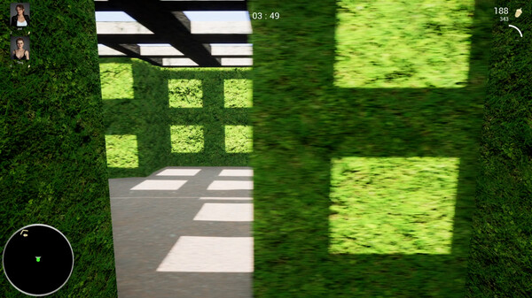 Скриншот из Maze Nuts