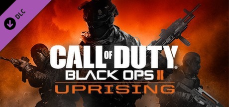 Call of Duty: Black Ops II Steam Account 