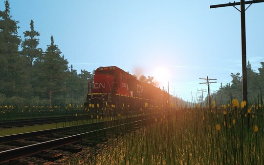 Trainz 2022 DLC - USA Route - Forest Industry